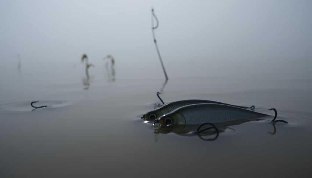 lure limitations murky water